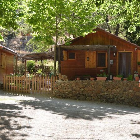 Cabanas Camping Sierra De Penascosa المظهر الخارجي الصورة